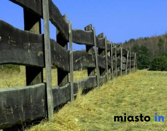 Kalendarz Przyrody Częstochowy: Kiedy i Gdzie Obserwować Naturę (Lisiniec, Dolina Warty, Dolinki Jurajskie) - Poznan.in