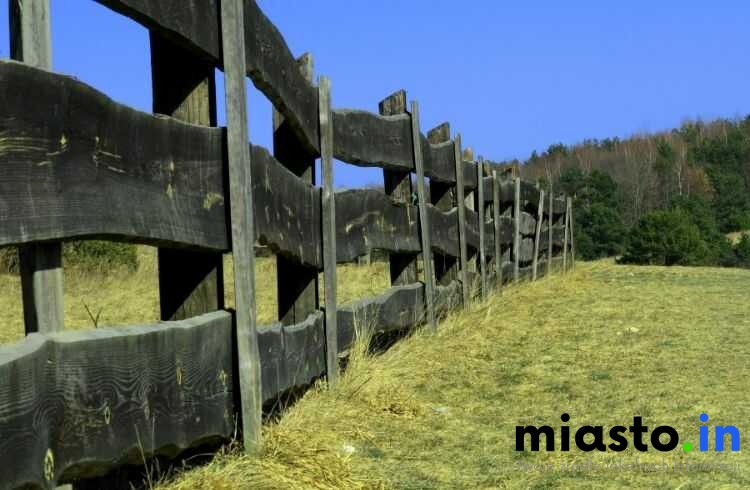 Kalendarz Przyrody Częstochowy: Kiedy i Gdzie Obserwować Naturę (Lisiniec, Dolina Warty, Dolinki Jurajskie) - Poznan.in