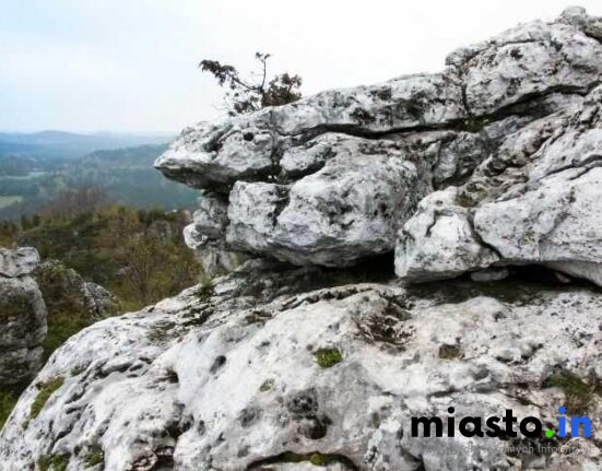 Częstochowa Na Nogi i Dwa Kółka: TOP Trasy Spacerowe i Rowerowe (Lisiniec, Promenada Niemena, Jura) - Poznan.in