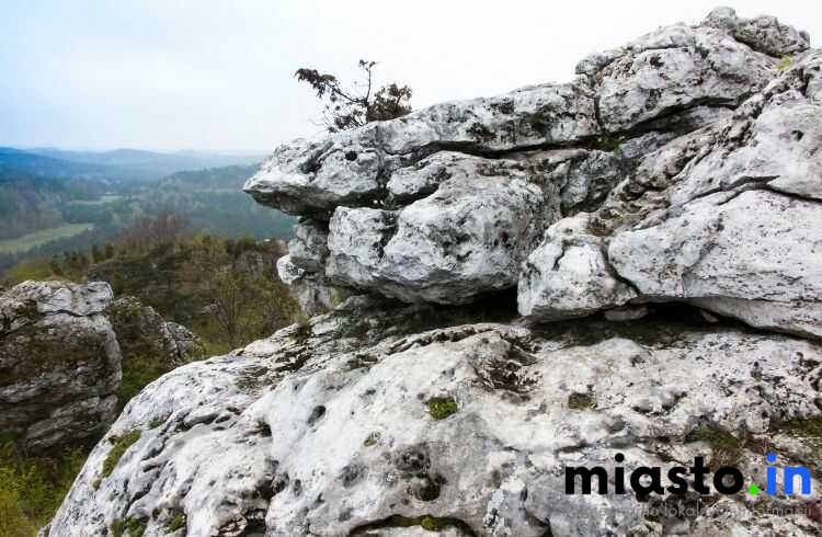 Częstochowa Na Nogi i Dwa Kółka: TOP Trasy Spacerowe i Rowerowe (Lisiniec, Promenada Niemena, Jura) - Poznan.in