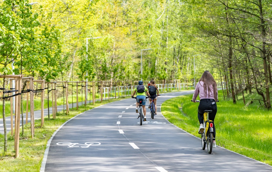 Rowerzyści jadący szeroką ścieżką rowerową wśród zieleni w Katowicach