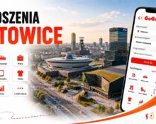 Baner Ogłoszenia Katowice GoGa.pl z widokiem na Spodek i panoramę miasta oraz kategoriami: nieruchomości, motoryzacja, praca, dom i ogród, elektronika, moda