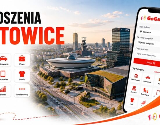 Baner Ogłoszenia Katowice GoGa.pl z widokiem na Spodek i panoramę miasta oraz kategoriami: nieruchomości, motoryzacja, praca, dom i ogród, elektronika, moda